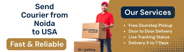 Send Courier from Noida to USA